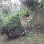 Prevencio-incendis-Alzira-02