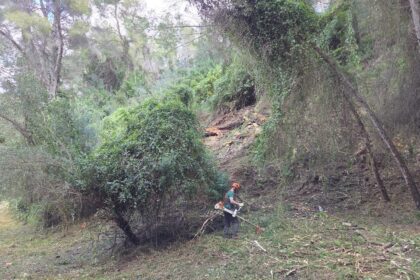 Prevencio-incendis-Alzira-02