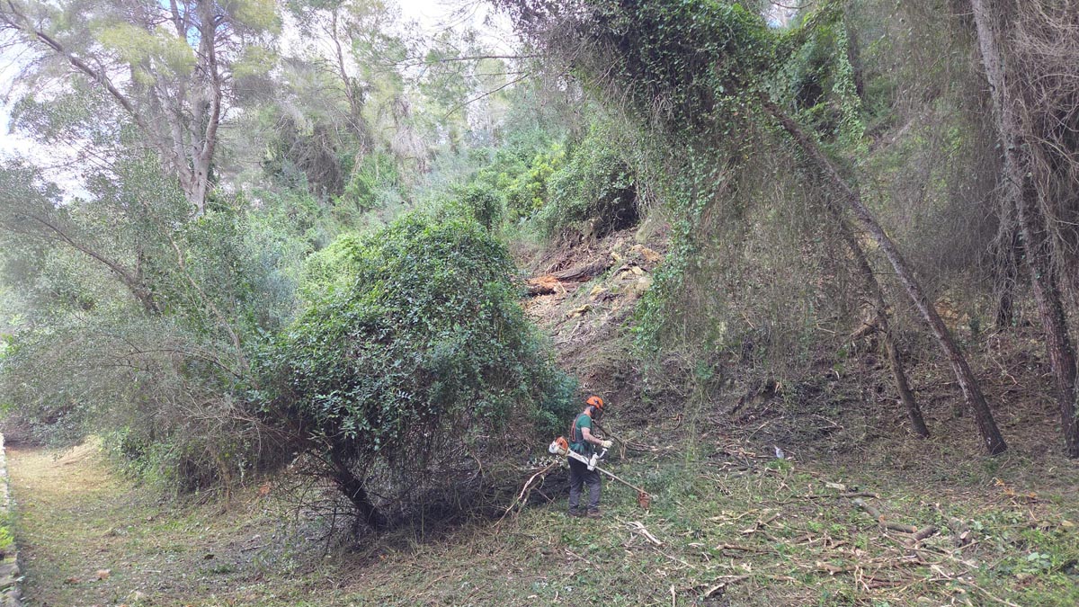 Prevencio-incendis-Alzira-02