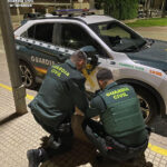 Denunciat a Carlet el propietari de quatre galls després de participar en baralles clandestines