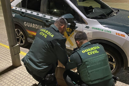 Denunciat a Carlet el propietari de quatre galls després de participar en baralles clandestines