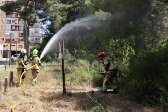 València estrena en proves una aplicació pionera que comunica en temps real els bombers i els veïns del Saler en cas d'incendi