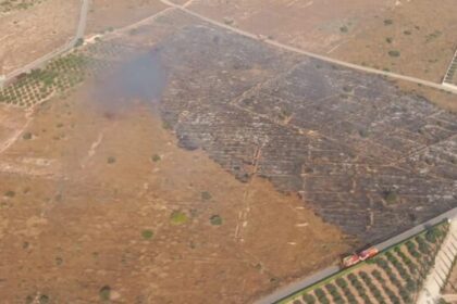 Ola de calor e incendios en la Comunitat Valenciana: balance de las últimas 24 horas