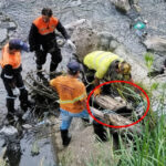 La Guardia Civil trata de identificar unos restos humanos hallados en El Saler
