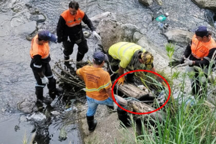 La Guardia Civil trata de identificar unos restos humanos hallados en El Saler