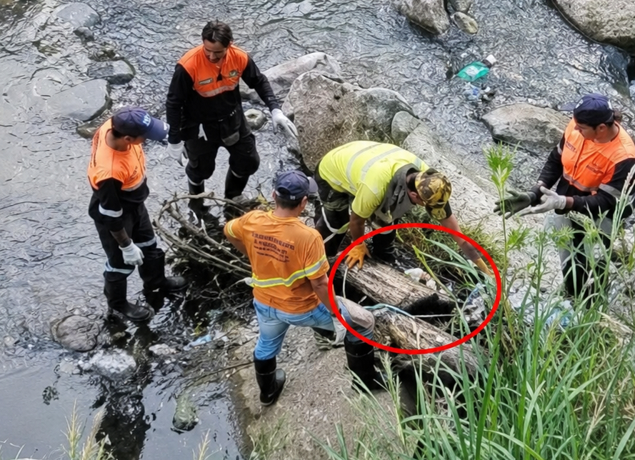 La Guardia Civil trata de identificar unos restos humanos hallados en El Saler