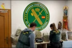 Arrestan a un hombre tras desmantelar una sofisticada plantación de marihuana en un chalet de Picassent