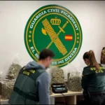 Arrestan a un hombre tras desmantelar una sofisticada plantación de marihuana en un chalet de Picassent