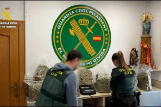Arrestan a un hombre tras desmantelar una sofisticada plantación de marihuana en un chalet de Picassent