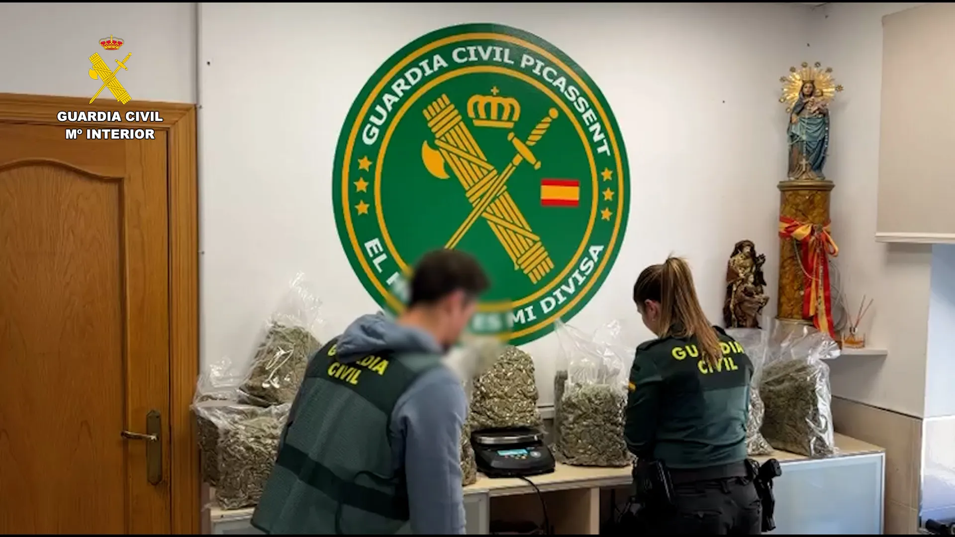 Arrestan a un hombre tras desmantelar una sofisticada plantación de marihuana en un chalet de Picassent