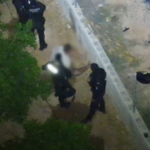 La Guardia Civil detiene en Bétera al autor de robos de animales valorados en más de 145.000 euros y constata graves delitos de maltrato animal