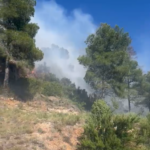 Extinguido el incendio forestal de Serra tras afectar al Parque Natural de la Sierra Calderona
