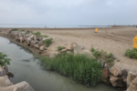 Detenido un bañista en la Patacona por agredir a la policía y cerradas las playas del Puig y La Pobla de Farnals por un vertido