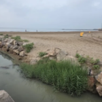 Detenido un bañista en la Patacona por agredir a la policía y cerradas las playas del Puig y La Pobla de Farnals por un vertido