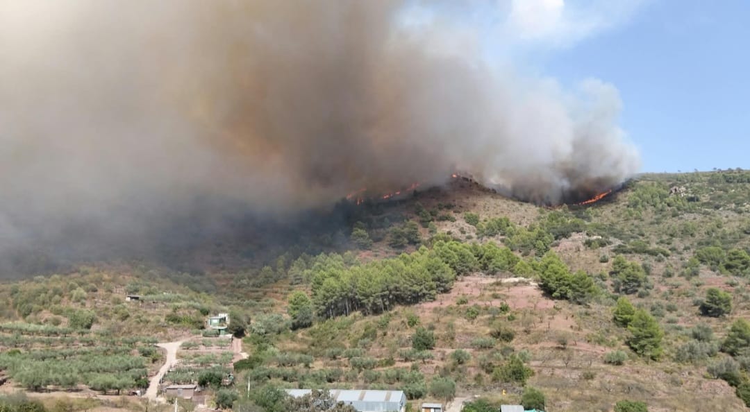El fuego de la Serra Calderona se descontrola y obliga a la evacuación inmediata de Gátova hacia el polideportivo de Bétera