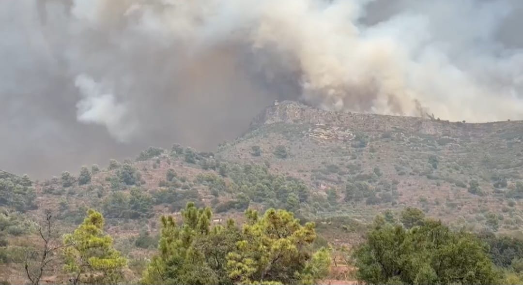 La evolución del incendio forestal originado tras el impacto de un rayo en el límite entre Segorbe y Gátova ha sufrido una drástica complicación durante la tarde de este viernes. Un repentino cambio en la dirección de los vientos ha avivado el frente, que ya ha calcinado más de 133 hectáreas de masa forestal y se sitúa a las puertas del municipio de Gátova, en pleno Parque Natural de la Serra Calderona.Dada la gravedad de la situación y la presencia de intensas columnas de humo en la zona habitada, el Centro de Coordinación de Emergencias (112 CV) ha elevado la respuesta a Situación 2 del Plan Especial Frente al Riesgo de Incendios Forestales (PEIF) y ha solicitado la incorporación urgente de la Unidad Militar de Emergencias (UME).

Evacuación por Es-Alert e itinerario de salida
A las 13:58 horas se emitió una primera alerta acústica a los teléfonos móviles (Es-Alert) pidiendo el confinamiento de la población. Sin embargo, la posterior aproximación del fuego ha llevado a las autoridades a dictar la orden de evacuación obligatoria e inmediata de todo el municipio de Gátova.

Ruta de evacuación: Se ha establecido la salida hacia el sur, dirigiendo a los vecinos por la carretera CV-25 en dirección a Marines Viejo, Olocau y Bétera.

Vías bloqueadas: El tramo norte de la CV-25, entre Gátova y Altura, se encuentra totalmente cortado al tráfico debido a que el fuego ha invadido la calzada.

Centro de acogida: El Polideportivo Municipal de Bétera ha acondicionado sus instalaciones para ofrecer asistencia básica, manutención y alojamiento temporal a todos los vecinos desalojados.

Masivo despliegue de extinción
Sobre el terreno trabaja un contingente extraordinario coordinado entre la Generalitat Valenciana, los Consorcios Provinciales de Bomberos de València y Castelló y el Ministerio para la Transición Ecológica:

Medios aéreos: Hasta 18 aeronaves (15 autonómicas y 3 estatales) realizan descargas continuas de agua y retardante.

Medios terrestres: Más de 19 unidades terrestres de Bombers Forestals de la GVA, 14 autobombas, 5 unidades helitransportadas y múltiples dotaciones de bomberos urbanos y brigadas forestales (BRIFO).

Seguridad y sanidad: La Policía de la Generalitat coordina los cortes de tráfico, mientras que unidades del SAMU y Soporte Vital Básico permanecen posicionadas de forma preventiva.

El fuego de la Serra Calderona se descontrola y obliga a la evacuación inmediata de Gátova hacia el polideportivo de Bétera