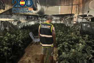 La Policia Nacional desmantella un cultiu de marihuana a Torrent i deté un pròfug amb tres ordres de presó