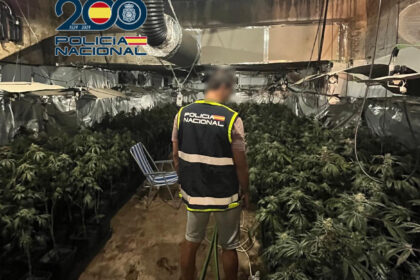 La Policia Nacional desmantella un cultiu de marihuana a Torrent i deté un pròfug amb tres ordres de presó