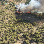 Un incendi forestal a Llíria obliga a evacuar de manera preventiva diverses vivendes a la Canyada Parda abans de ser estabilitzat