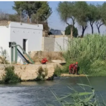 Hallan los cuerpos sin vida de dos jóvenes en los ríos Xúquer y Túria: investigan una desaparición en Sueca y un ahogamiento en Manises