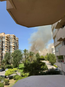 Un incendio forestal en la Gola de Pujol (El Saler) obliga a evacuar una torre de apartamentos y cortar la CV-500.
