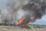 Un incendio forestal en la Gola de Pujol (El Saler) obliga a evacuar una torre de apartamentos y cortar la CV-500.