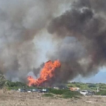 Un incendio forestal en la Gola de Pujol (El Saler) obliga a evacuar una torre de apartamentos y cortar la CV-500.