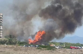 Un incendio forestal en la Gola de Pujol (El Saler) obliga a evacuar una torre de apartamentos y cortar la CV-500.