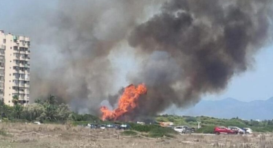 Un incendio forestal en la Gola de Pujol (El Saler) obliga a evacuar una torre de apartamentos y cortar la CV-500.