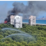 L'emergència a El Saler empitjora: evacuen la pedania i els càmpings per un canvi de vent en l'incendi de la Devesa.
