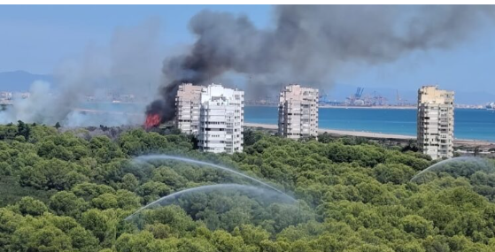 L'emergència a El Saler empitjora: evacuen la pedania i els càmpings per un canvi de vent en l'incendi de la Devesa.