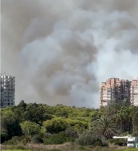L'emergència a El Saler empitjora: evacuen la pedania i els càmpings per un canvi de vent en l'incendi de la Devesa.