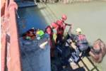Els bombers despleguen un dispositiu especial per a rescatar un cavall atrapat en un estany a Cullera
