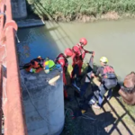Els bombers despleguen un dispositiu especial per a rescatar un cavall atrapat en un estany a Cullera