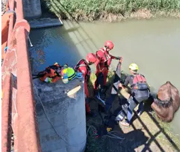Els bombers despleguen un dispositiu especial per a rescatar un cavall atrapat en un estany a Cullera