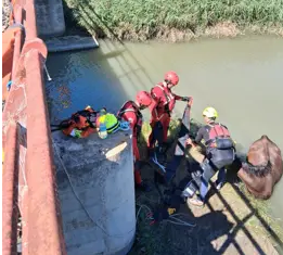 Els bombers despleguen un dispositiu especial per a rescatar un cavall atrapat en un estany a Cullera
