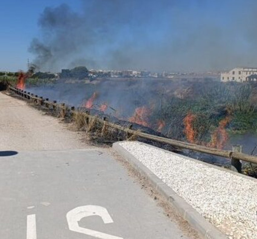 Un voraz incendio de cañas moviliza a los bomberos y corta el tráfico entre Alboraya y Almàssera