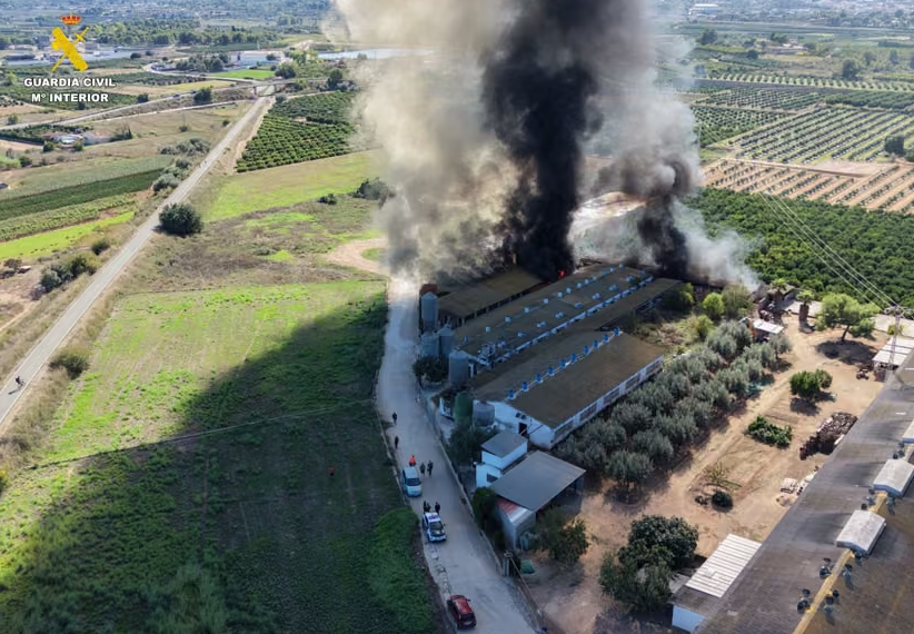 Los bomberos sofocan un incendio en una granja de Benaguasil