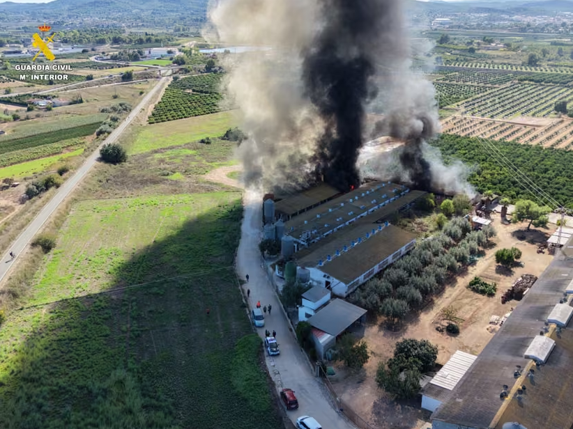 Los bomberos sofocan un incendio en una granja de Benaguasil