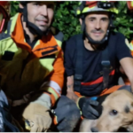 Els Bombers del Consorci de València rescaten un gos atrapat en una canonada de reg a Xàtiva