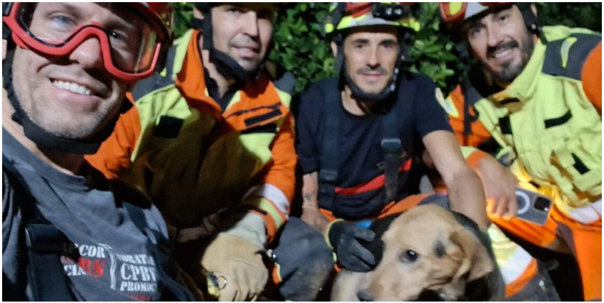 Els Bombers del Consorci de València rescaten un gos atrapat en una canonada de reg a Xàtiva
